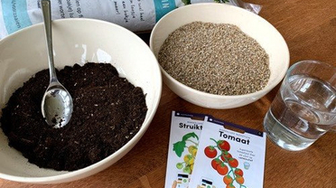 Voorzaaien: waarom, hoe en wanneer doe je dat?