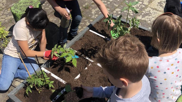 Groene vingers op school met de Hero Moestuinbakken