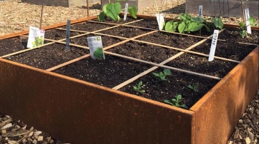 Een gezonde moestuin begint in je bak: aanvullen en voeden met MM Mix en MM voeding