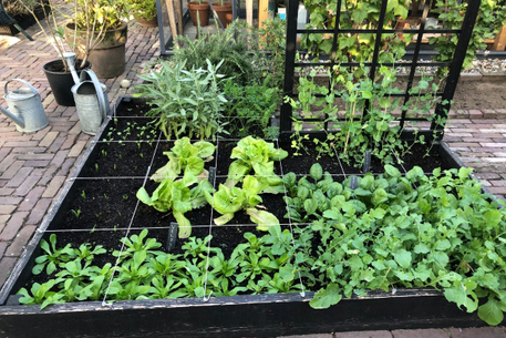 In 4 stappen eenvoudig moestuinieren, met Makkelijke Moestuin