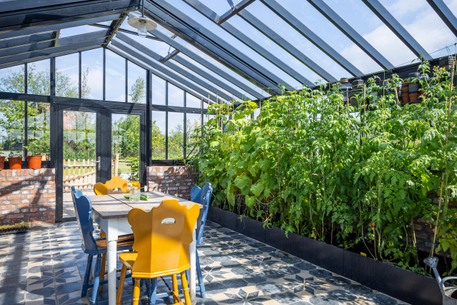 Plantenbak moestuin: waarom je niet meer zonder wilt