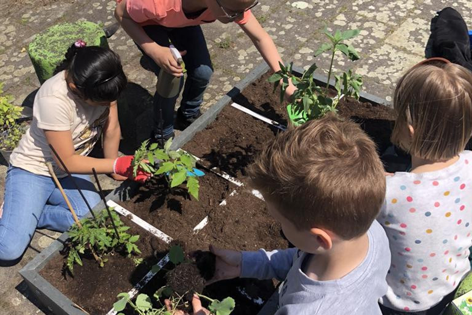 Groene vingers op school met de Hero Moestuinbakken